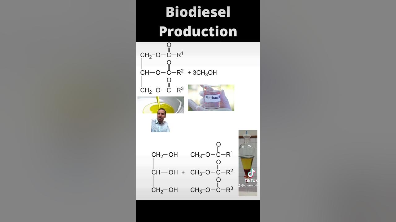 VCE Chemistry Biodiesel vs Petrodiesel (Reactions)