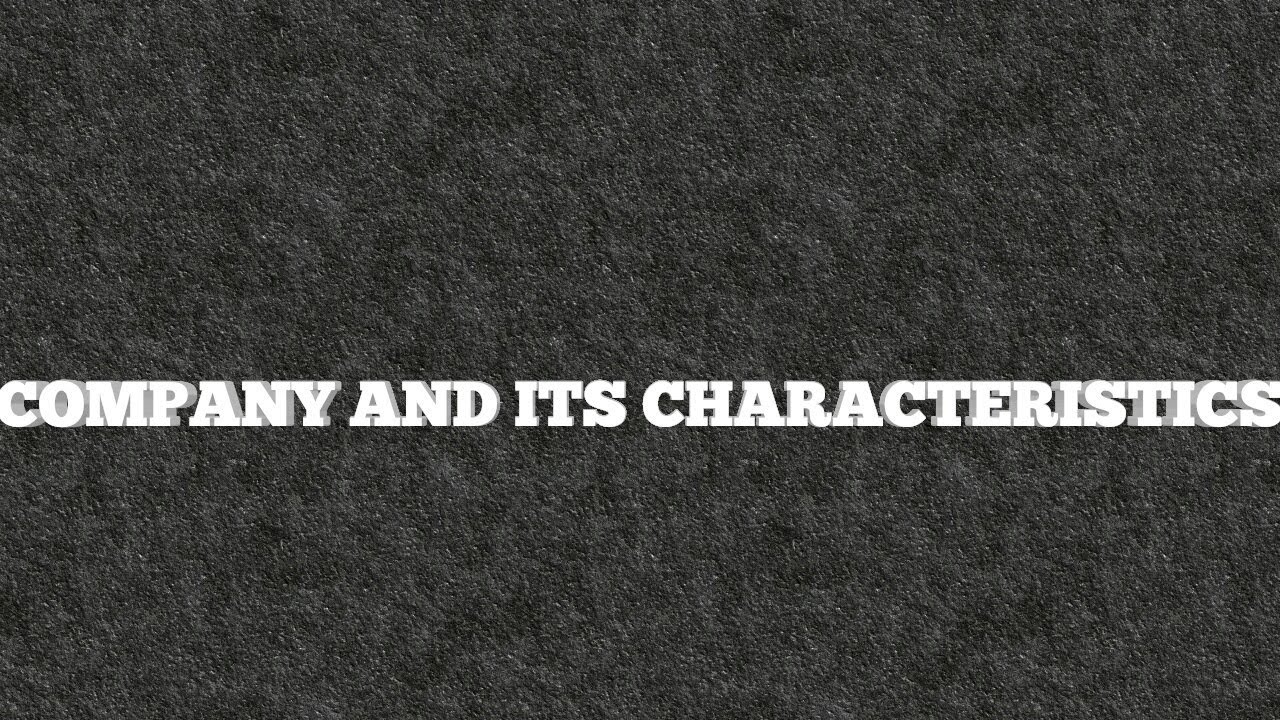 COMPANY AND IT S CHARACTERISTICS YouTube