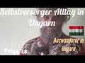 Selbstversorger Alltag in Ungarn #38 Auswanderer in Ungarn