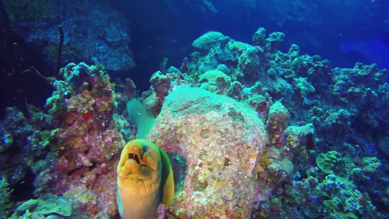 Julia's Report on Grand Cayman