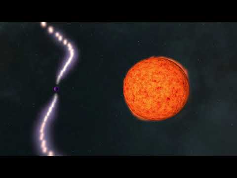 Binary Star Evolution - Second Supernova