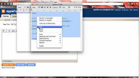 Blogger For Dummies (Episode 2): Blogger page redirect