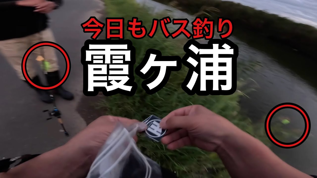 バス釣り霞ヶ浦！ボトムアップダブラーお揃いのカラー！2026年9月23日