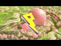 BUNT. - Young Hearts ft. BEGINNERS (BUNT. Remix)