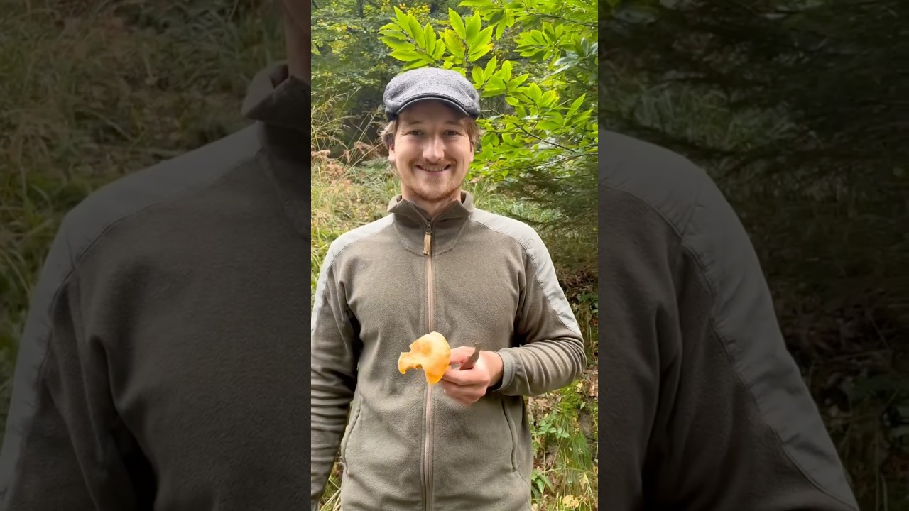 Wann sind Milchlinge essbar? 🍄🔍