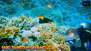 Scuba diving, Red Sea, Egypt Hurghada 2022