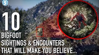 10 SHOCKING Bigfoot Sightings & Encounters That Will Make You Stay Indoors...