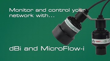 Sewer Network Monitoring