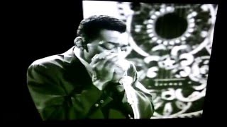 Little Walter Mean Old World (Live) AFBF