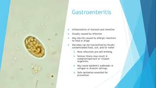 Chapter 17 Upper GI and Gastric Disorders