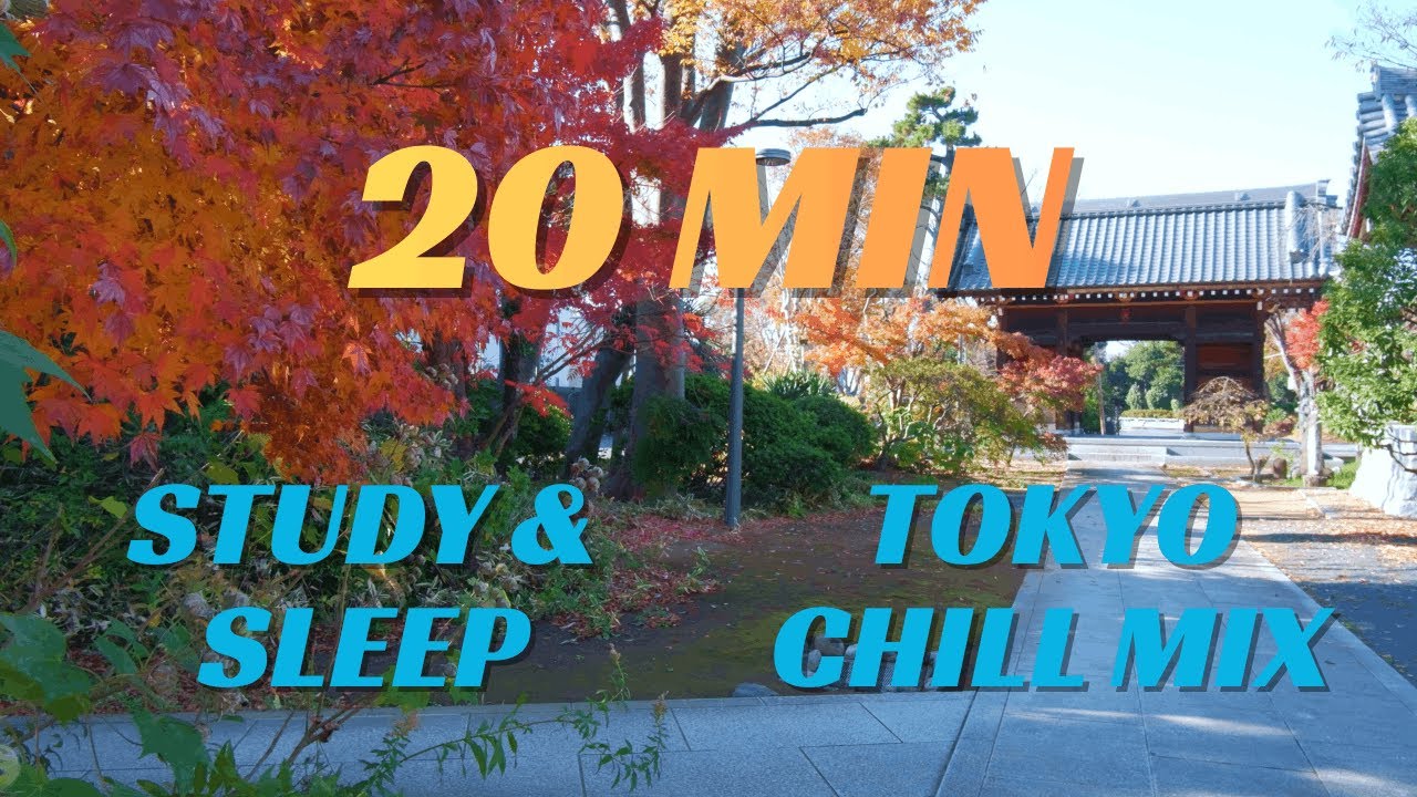 Quick Escape to Quiet Tokyo: 20 Minutes of Peace (Edogawa City)