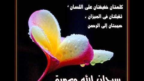 البراء بصفر - من الاحزاب - أجمل التلاوات