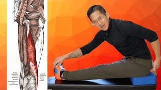 You Need to Do This Stretch (TIGHT Lateral Hamstrings / Biceps Femoris)