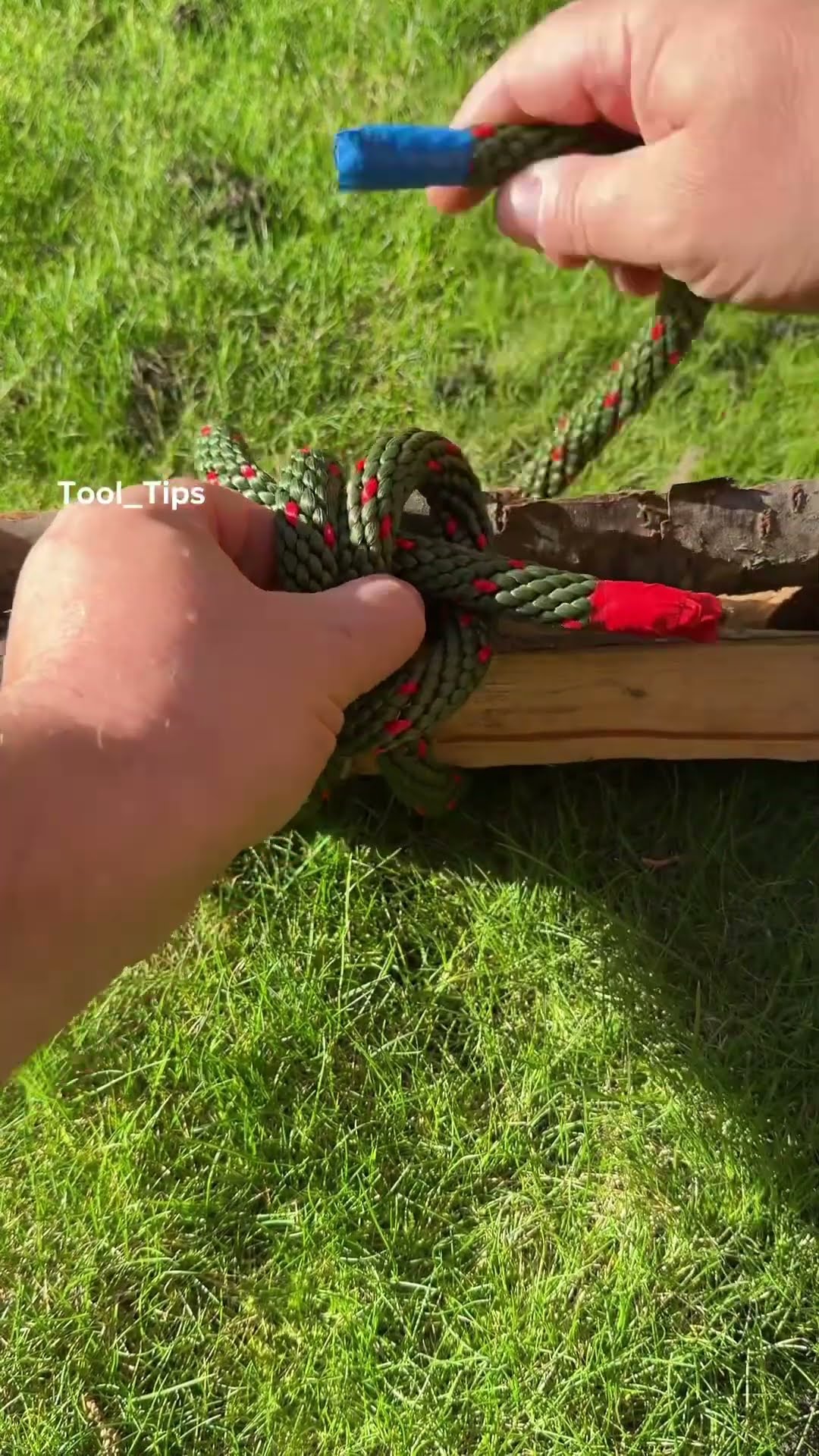 The Real Tips