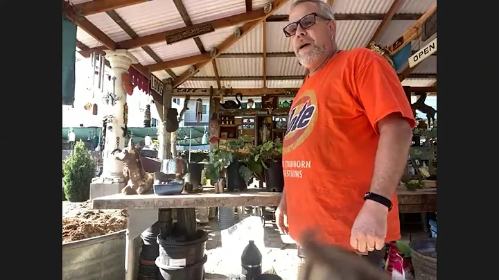 CNPS Fall Gardening Webaganza 2020 with Pete Veill...