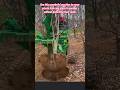 Incredible Tree Transplanting Machine. #shorts #satisfying #machine #gardening #agriculture #amazing