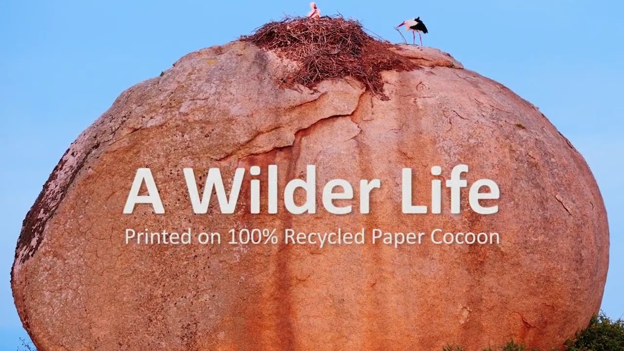 The Panda Book | Winner Gold | Deauville Green Awards 2018