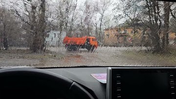 Наносить печать будут добровольно/насильно/обманом/под пытками? Мнение о "буревестниках"