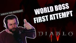DIABLO 4 WORLD BOSS, ASHAVA THE PESTILENT, FIRST ATTEMPT!