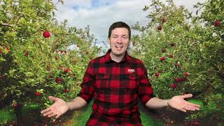 Johnny Appleseed