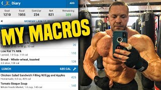 My Macros For a Shredded Physique | Tiger Fitness