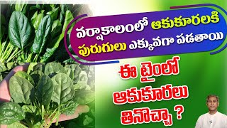 Immunity Boosting Foods | Vitamin C Rich Foods List | Monsoon Myths | Dr. Manthenas Health Tips