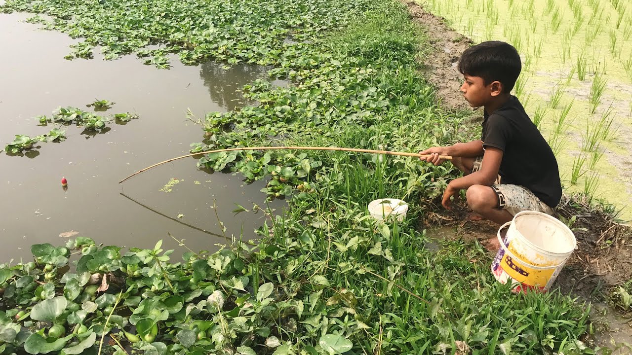 Best Fishing Video🐠🐬 || The village Little boy catching a lot of fish from the village Pond hooks