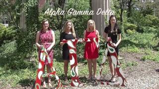 PHC- Sorority recruitment Fall 2016