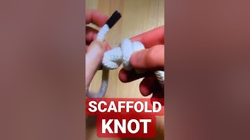 TYING A KNOT Scaffold Knot Easy #shorts #camping #work