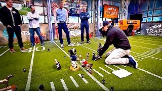 Against the Grain Returns in Dramatic Fashion!! | The Dan Patrick Show | 2/1/19