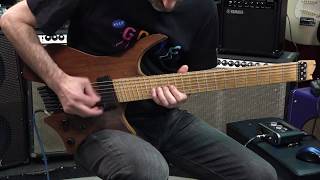 Strandberg Boden 7 USA Washburn Custom Shop