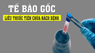 Tại sao người giàu đua nhau lưu trữ Tế Bào Gốc cho con?