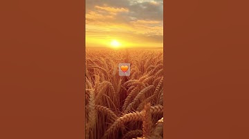 الآية الكريمة " يُوسُفُ أَيُّهَا الصِّدِّيقُ أَفْتِنَا فِي سَبْعِ بَقَرَاتٍ سِمَانٍ ... "