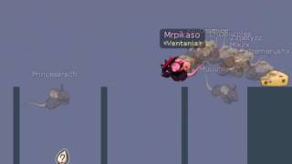 Transformice - Mrpikaso 5k de first