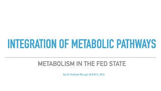 Integration of Metabolism/Metabolism in the Fed State/integration of Metabolic Pathways