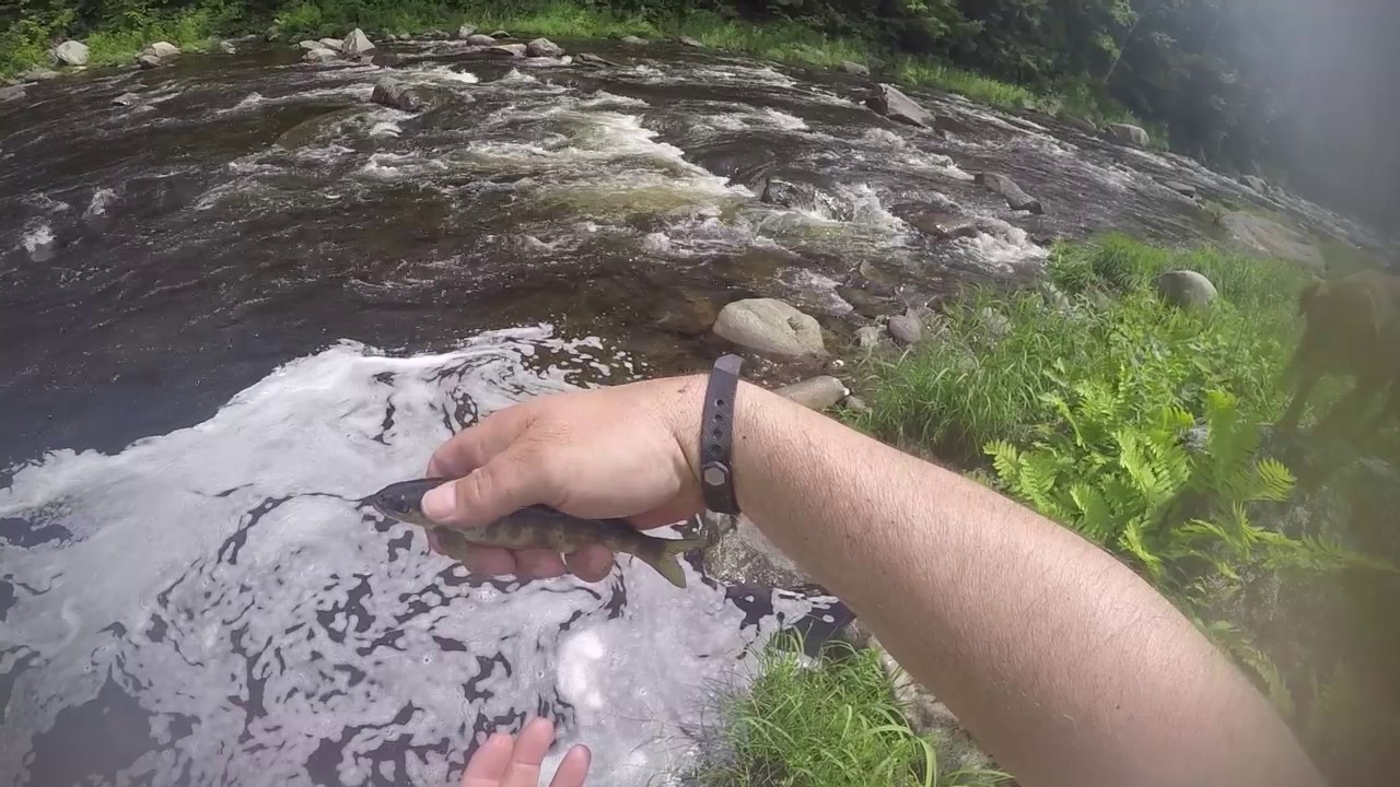 Fishing along the Appalachian Trail in Maine, just south of Monson