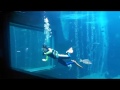 箱根園水族館 の動画、YouTube動画。
