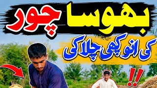 Bhusa chor ki Anokhi chalakian | bhusa chor ne Malik ko kaise bevkuf banaya village comedy#funny