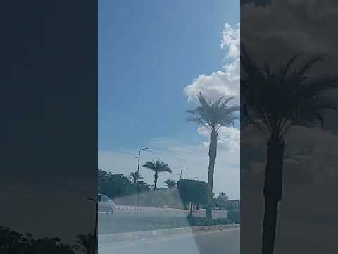 صورة بلدي وحبايبي محرم فؤاد