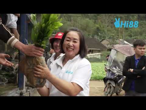 Liên minh okvip HI88 gieo mầm yêu thương