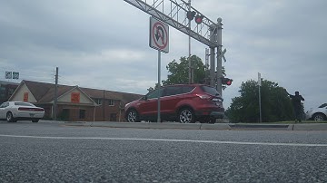 NS Hornshowww AND wave!!!