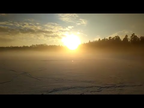 Video: Voolust Välja Kukkuda