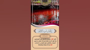 تواضع لله يتواضع لك الناس  - وليدبروا آياته -| سعد الغامدي|- Humility #راحة_نفسية #quran  #قرآن