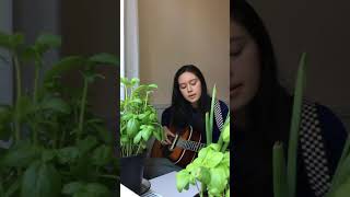 beabadoobee - coffee (cover) #shorts #beabadoobee #indieartist