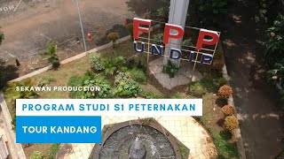 TOUR KANDANG - PETERNAKAN UNDIP