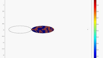 Collective cell migration