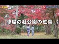 陣屋の杜公園の紅葉