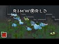Monstrosities, a Broken Gravship &amp; a Whole Lot of Chaos 🌈 RimWorld Cult Colony Chaos (Part #24)