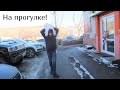 VLOG: МОИ ГНОМИКИ!