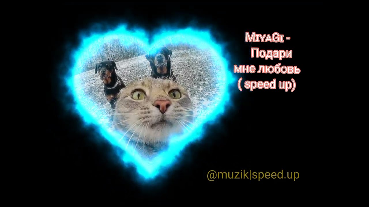 I love it speed up. Бонни мияги Speed up. Подари мне любовь мияги. Любовь Speed up. Подари мне любовь Speed up.